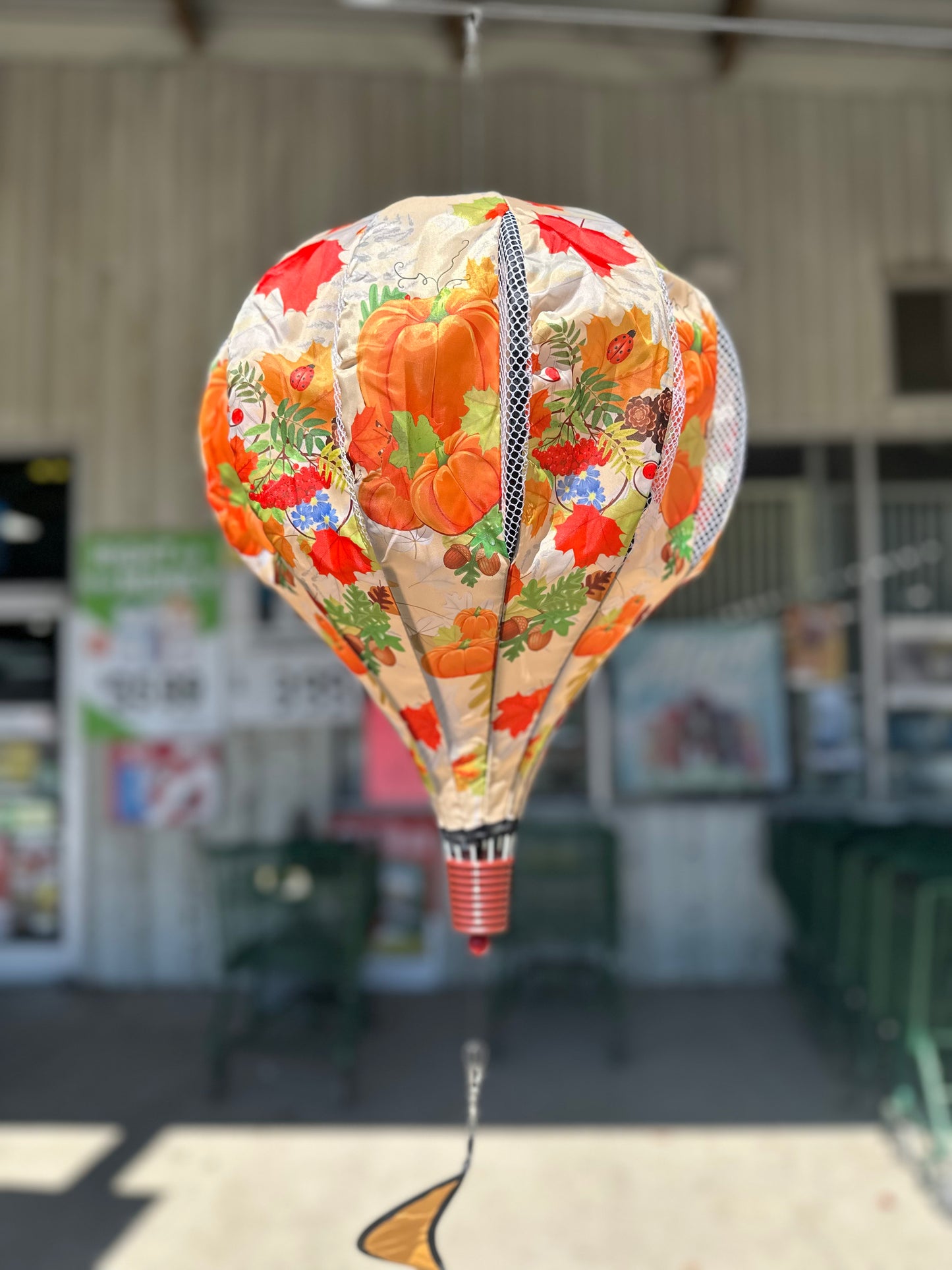 Hot Air Balloon Wind Spinner