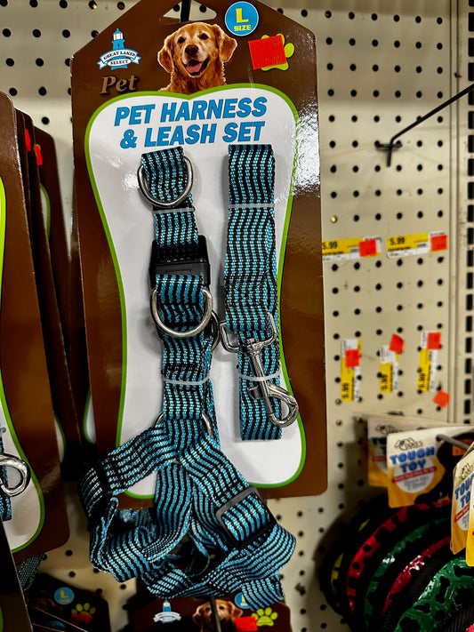 Pet Harness & Leash Set — Large