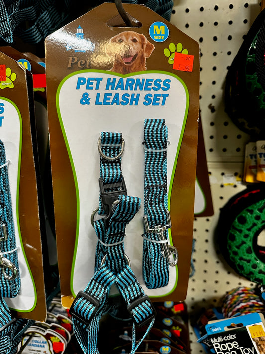 Pet Harness & Leash Set — Medium